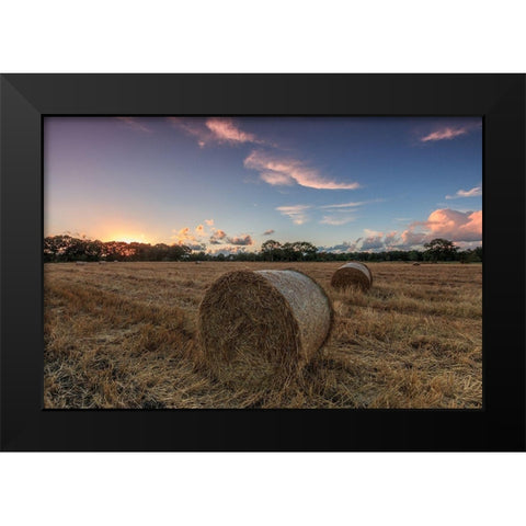 Herbst im Norden Black Modern Wood Framed Art Print by Scholz, Markus