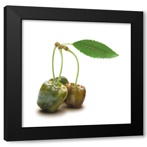 Papkische Black Modern Wood Framed Art Print with Double Matting by Broszius, Michael