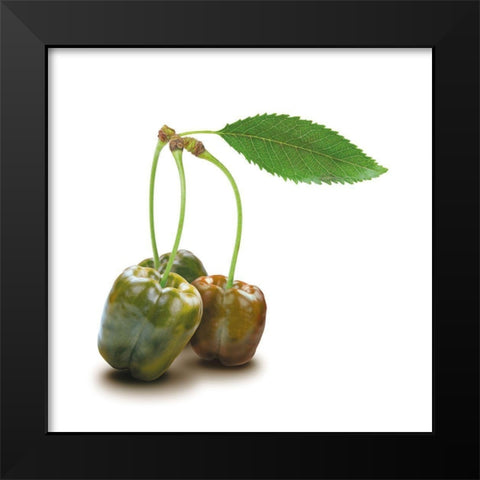 Papkische Black Modern Wood Framed Art Print by Broszius, Michael