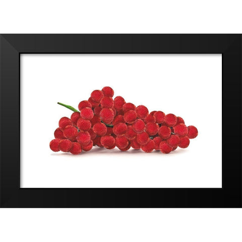 Litschben Black Modern Wood Framed Art Print by Broszius, Michael