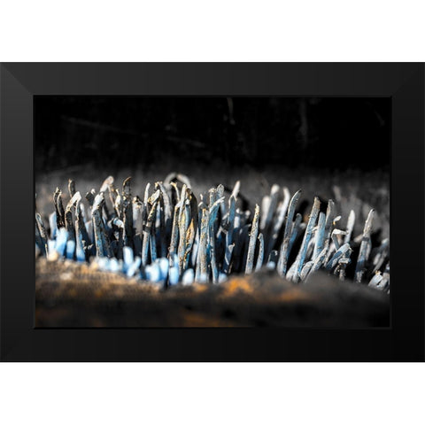 Hafen 5 Black Modern Wood Framed Art Print by Krause, Michael