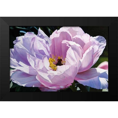 The Awakening Black Modern Wood Framed Art Print by Schuh, Michael