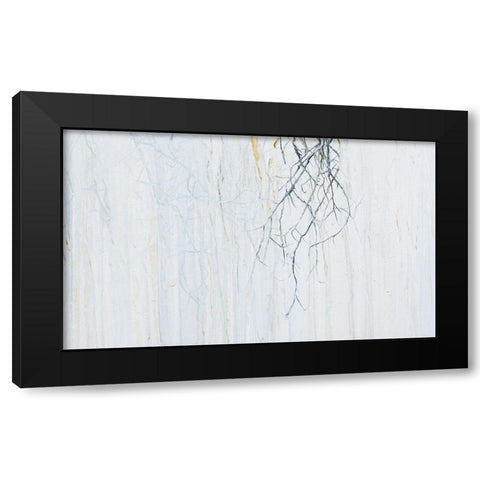 Radici 3  Black Modern Wood Framed Art Print with Double Matting by Capogrosso, Pietro