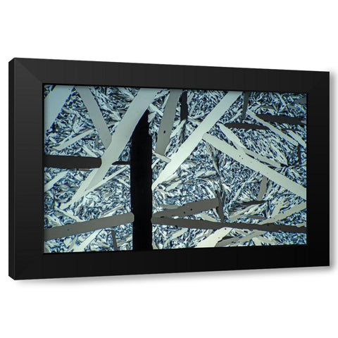Menthol Black Modern Wood Framed Art Print with Double Matting by Juzak, Peter