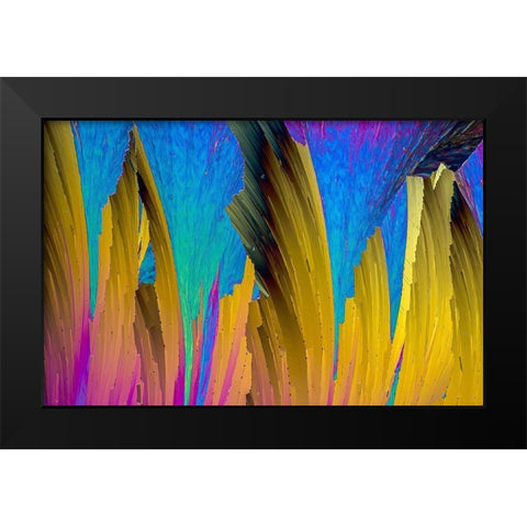 Paracetamol Black Modern Wood Framed Art Print by Juzak, Peter