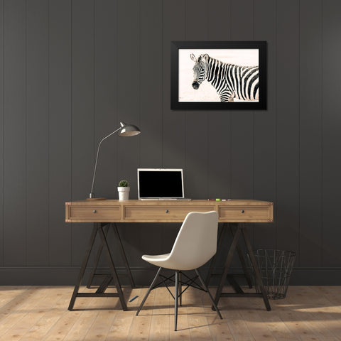 Zebra II Black Modern Wood Framed Art Print by Seifinger, Toby