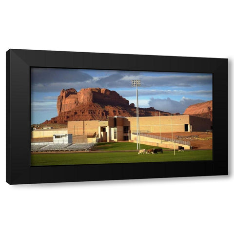 Bovine Football Black Modern Wood Framed Art Print with Double Matting by Stalowy, John