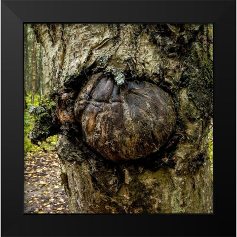 Burl 2 Black Modern Wood Framed Art Print by Stalowy, John