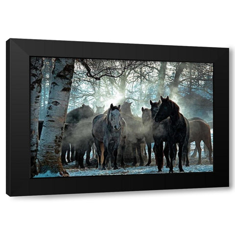 Horses in the Mist Black Modern Wood Framed Art Print by Stalowy, John