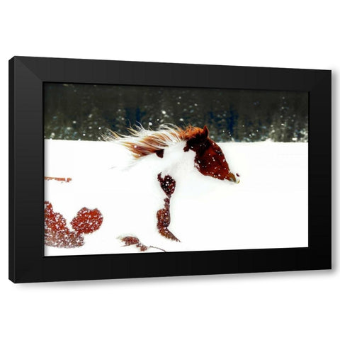 Paint Black Modern Wood Framed Art Print with Double Matting by Stalowy, John