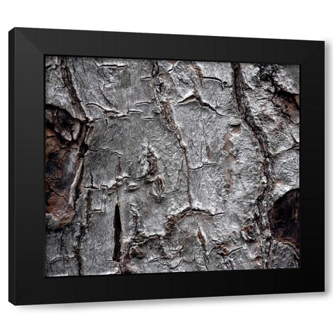 Tree Bark Black Modern Wood Framed Art Print by Stalowy, John