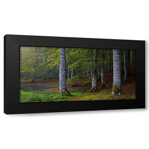 Forest 801 Black Modern Wood Framed Art Print with Double Matting by Palacios, J.A.
