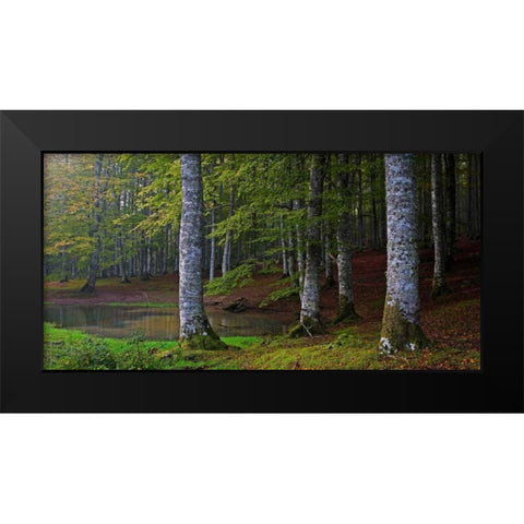 Forest 801 Black Modern Wood Framed Art Print by Palacios, J.A.
