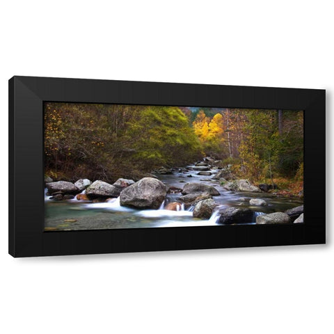 Forest and river 802 Black Modern Wood Framed Art Print with Double Matting by Palacios, J.A.