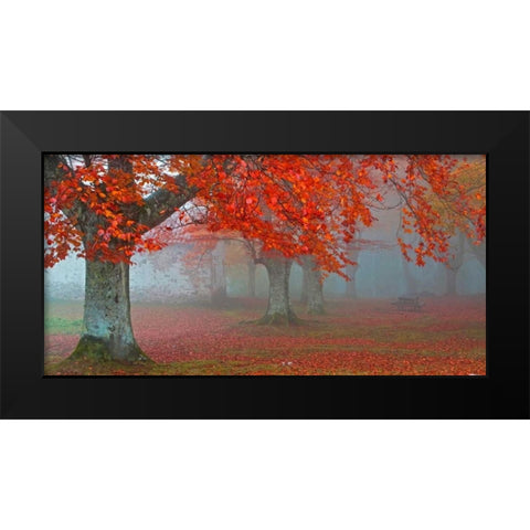 Red forest 804 Black Modern Wood Framed Art Print by Palacios, J.A.
