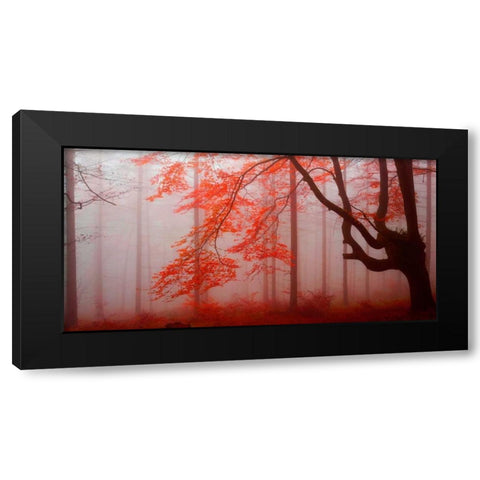 Red forest 807 Black Modern Wood Framed Art Print with Double Matting by Palacios, J.A.