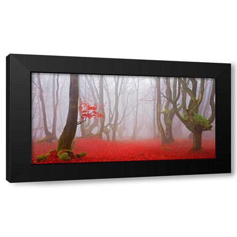 Red forest 811 Black Modern Wood Framed Art Print with Double Matting by Palacios, J.A.