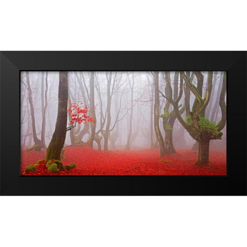Red forest 811 Black Modern Wood Framed Art Print by Palacios, J.A.