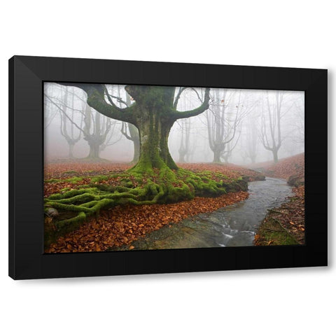 Forest 817 Black Modern Wood Framed Art Print with Double Matting by Palacios, J.A.