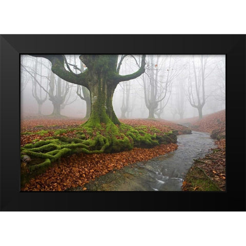 Forest 817 Black Modern Wood Framed Art Print by Palacios, J.A.