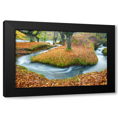 Forest and river 846 Black Modern Wood Framed Art Print by Palacios, J.A.