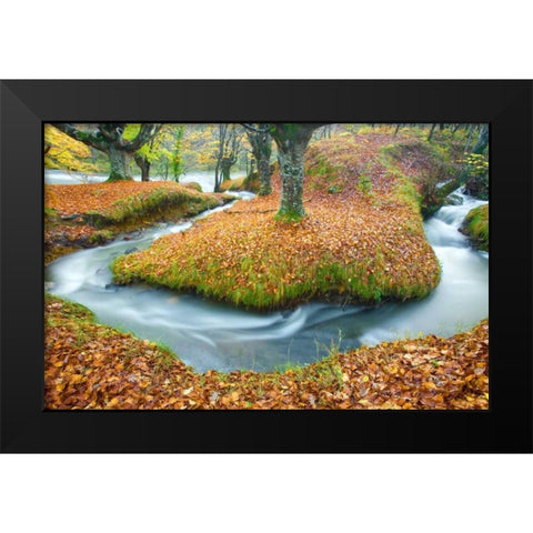 Forest and river 846 Black Modern Wood Framed Art Print by Palacios, J.A.