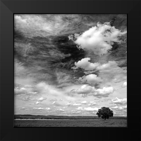 Black and white field 841 Black Modern Wood Framed Art Print by Palacios, J.A.