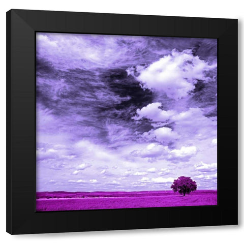 Lilac field 840 Black Modern Wood Framed Art Print with Double Matting by Palacios, J.A.
