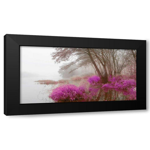 Foggy swamp 838 Black Modern Wood Framed Art Print by Palacios, J.A.