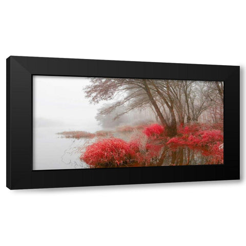 Foggy swamp 837 Black Modern Wood Framed Art Print by Palacios, J.A.