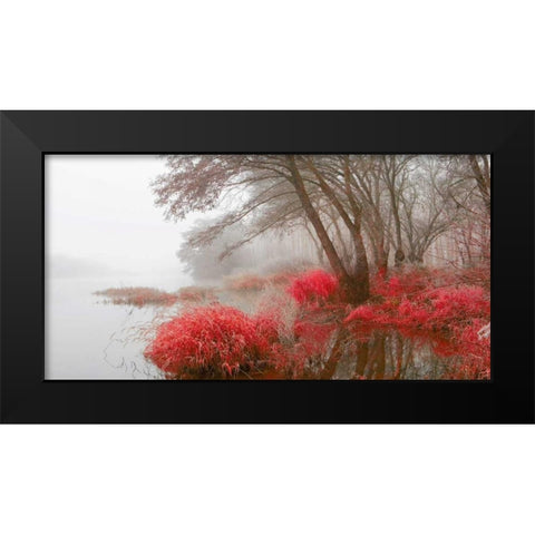 Foggy swamp 837 Black Modern Wood Framed Art Print by Palacios, J.A.