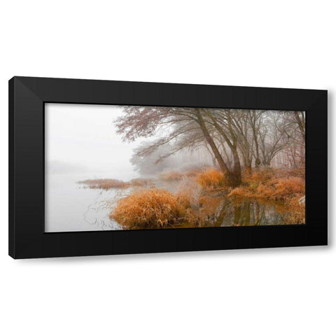 Foggy swamp 836 Black Modern Wood Framed Art Print by Palacios, J.A.