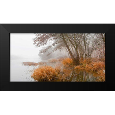 Foggy swamp 836 Black Modern Wood Framed Art Print by Palacios, J.A.
