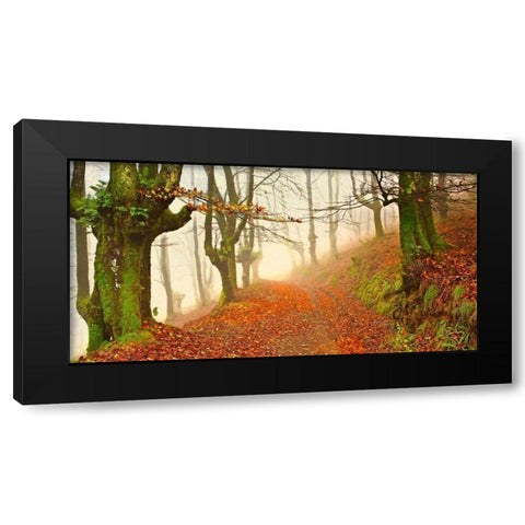 Orange forest leaves 826 Black Modern Wood Framed Art Print with Double Matting by Palacios, J.A.