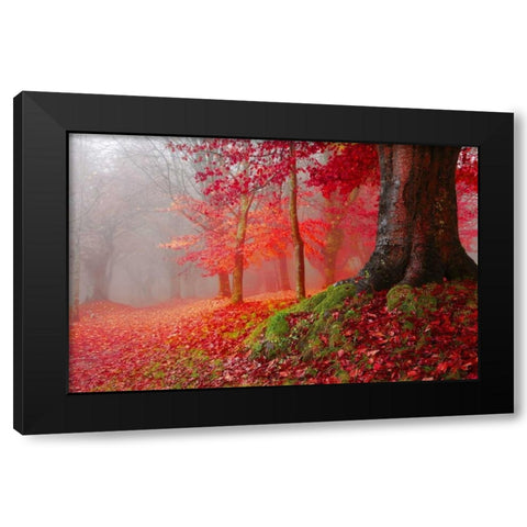 Millennial tree 824 Black Modern Wood Framed Art Print with Double Matting by Palacios, J.A.