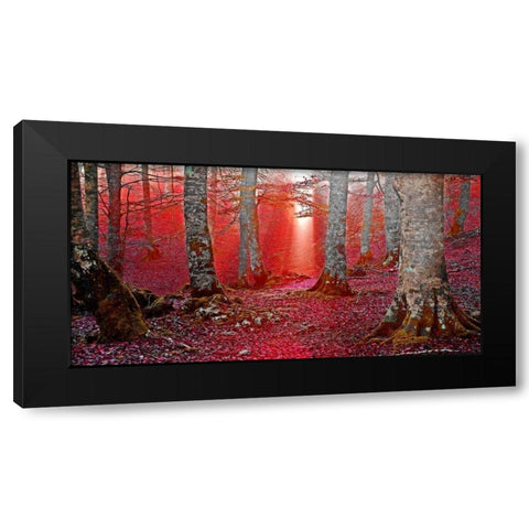 Forest and sunbeam 821 Black Modern Wood Framed Art Print with Double Matting by Palacios, J.A.