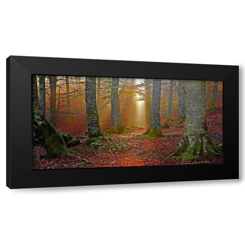 Forest and sunbeam 820 Black Modern Wood Framed Art Print by Palacios, J.A.