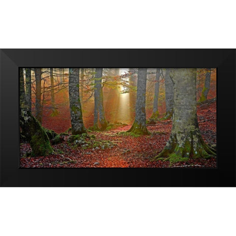 Forest and sunbeam 820 Black Modern Wood Framed Art Print by Palacios, J.A.