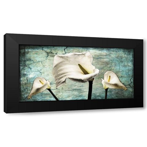 Callas I Black Modern Wood Framed Art Print by Willow, Susan P.