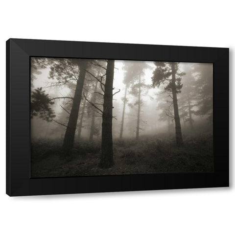 Invasion Black Modern Wood Framed Art Print by Vera, Urtzi