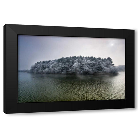 Winter in the swamp Black Modern Wood Framed Art Print by Vera, Urtzi