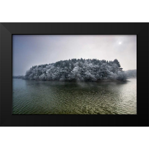 Winter in the swamp Black Modern Wood Framed Art Print by Vera, Urtzi