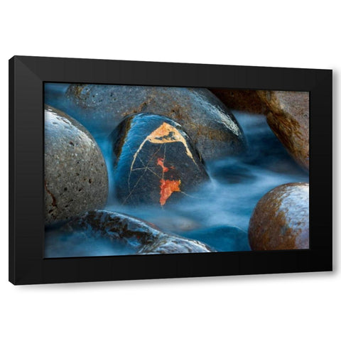 The jewel Black Modern Wood Framed Art Print with Double Matting by Vera, Urtzi