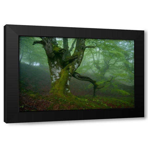 Spring Black Modern Wood Framed Art Print with Double Matting by Vera, Urtzi