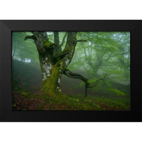 Spring Black Modern Wood Framed Art Print by Vera, Urtzi