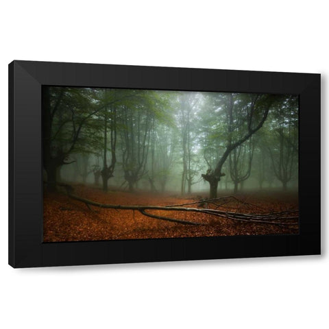 Spring II Black Modern Wood Framed Art Print by Vera, Urtzi