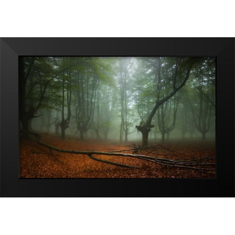 Spring II Black Modern Wood Framed Art Print by Vera, Urtzi