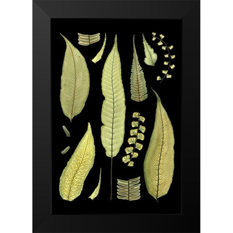 Ferns on Black III Black Modern Wood Framed Art Print by Unknown