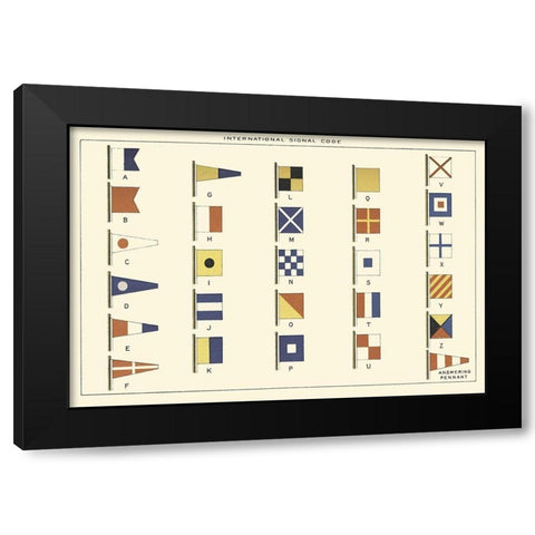 Nautilus VI Black Modern Wood Framed Art Print with Double Matting by Unknown