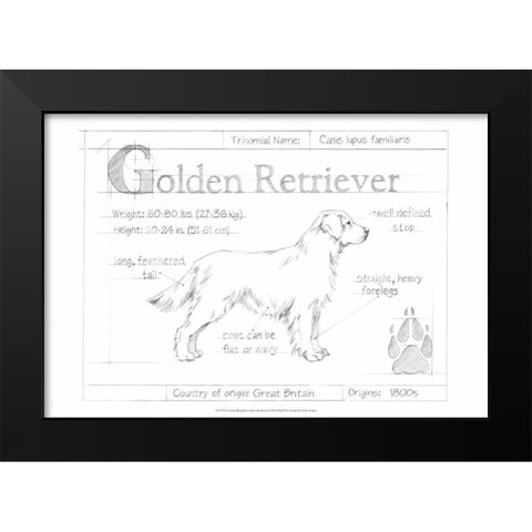 Custom Blueprint Golden Retriever Black Modern Wood Framed Art Print by Harper, Ethan